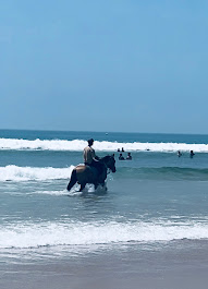 Séjour Sidi Kaouki Essaouira : cheval, bien-être & riad
