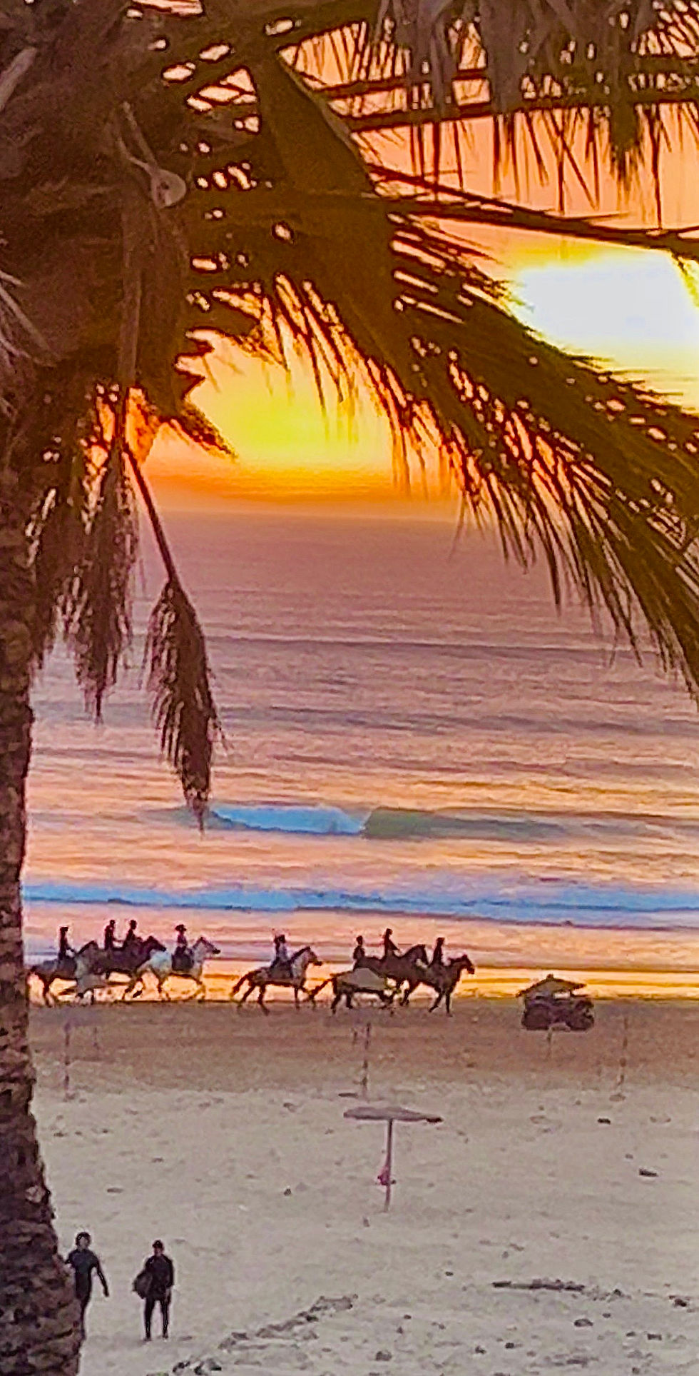 riad a sidi kaouki pres d'essaouira sejour equestre