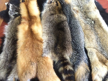 furs2.JPG