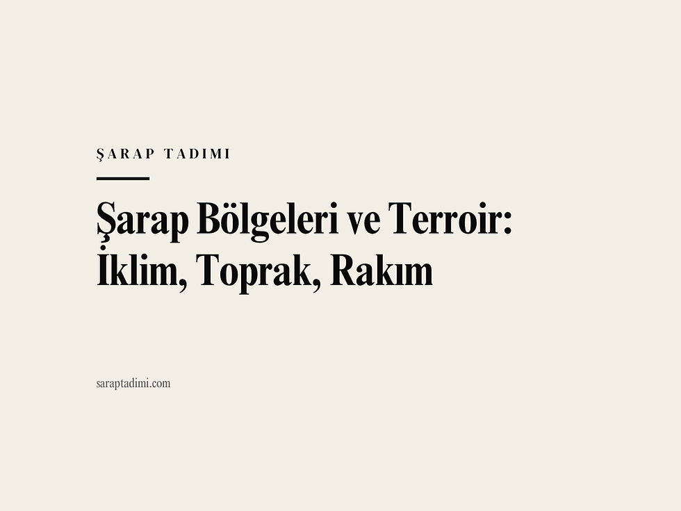 Şarap Bölgeleri ve Terroir: İklim, Toprak, Rakım