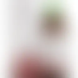 Laphroaig PX Cask Tadım Notu