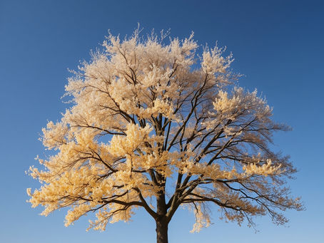 How Major Life Transitions Shape Women’s Mental Health