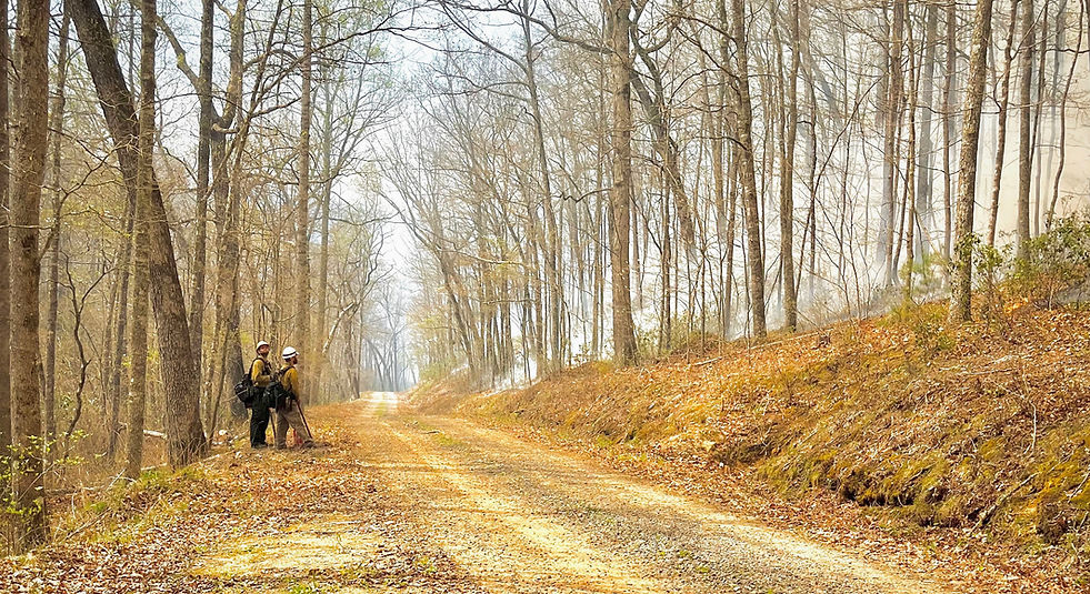 eric and bed edited.jpg