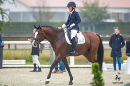 Zoom in the advanced level dressage test of Ankum