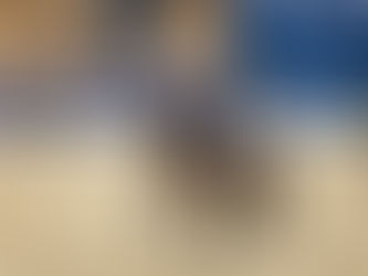 Zurück aus Neumünster