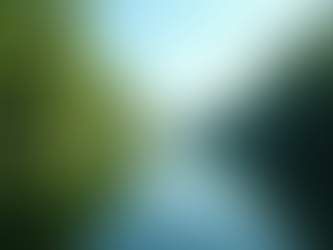 Discover the Hidden Gems of Peace River Florida