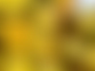 RIFIUTO L’OFFERTA O VADO AVANTI?