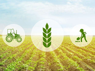 L’AGRICOLTURA CONTINUA AD INNOVARSI