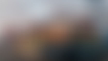 EXPORT: VINCE CHI INNOVA