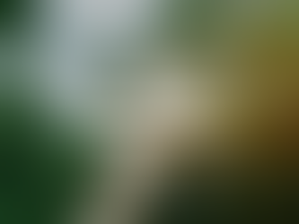 TORNA ANCHE PER IL 2026 IL BANDO "ACCORDI PER L'INNOVAZIONE"