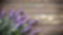 Lavender & Orange Aromatherapy