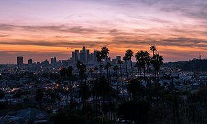 DTLA view.jpeg