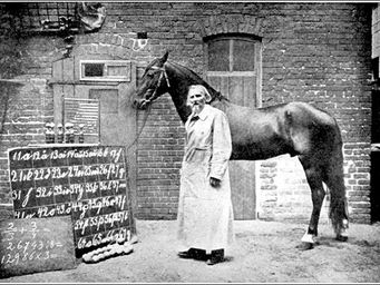 Clever Hans: O cavalo inteligente