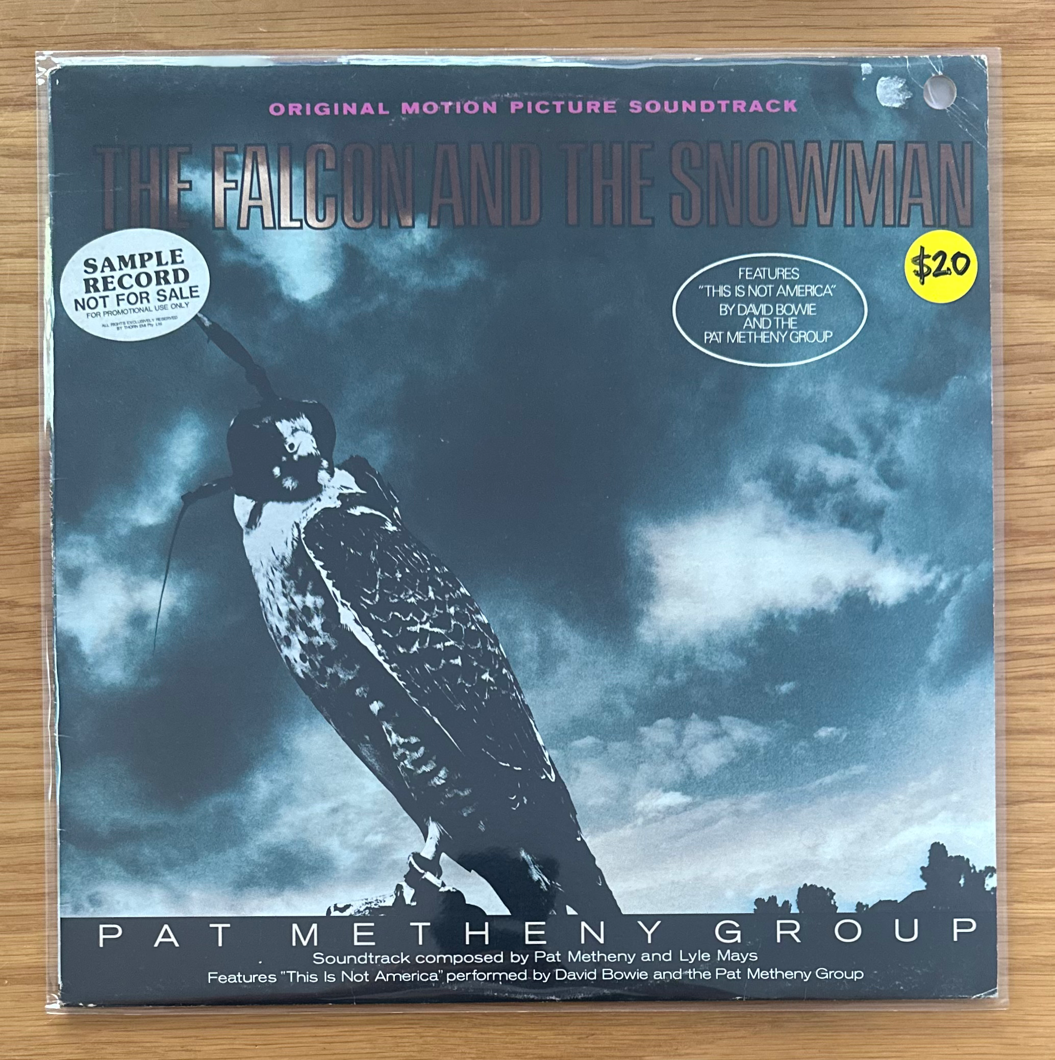 PAT METHENY GROUP -The Falcon And The Snowman