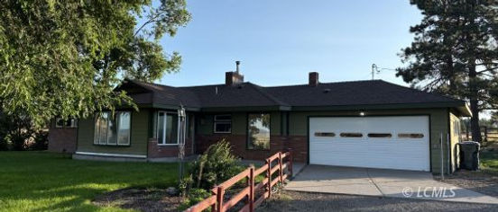 95705 Willow.jpg