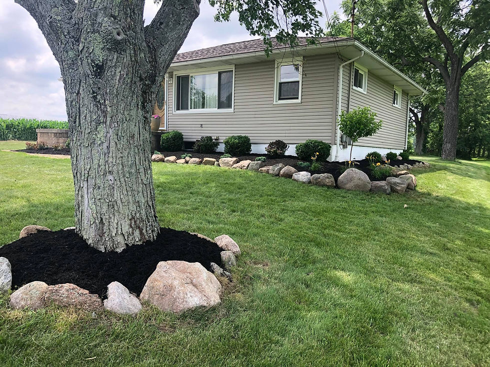 After Plant Installation