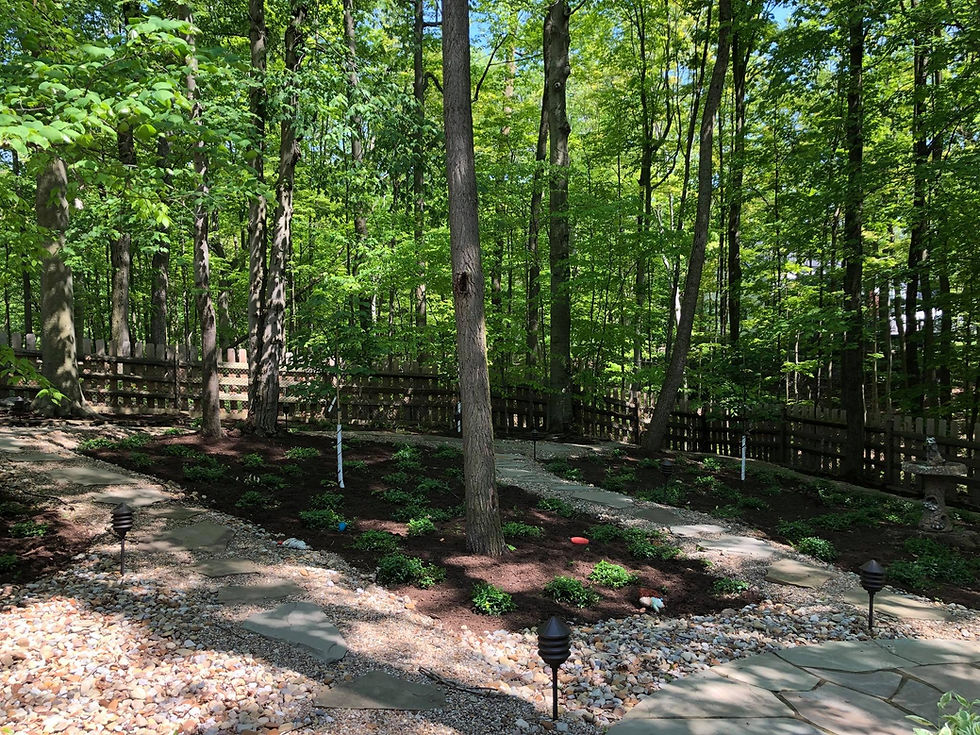 After Mulch