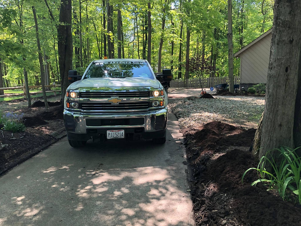 Before Mulch