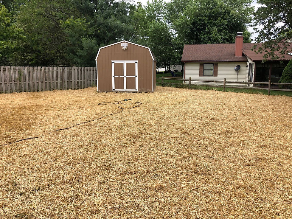 Seed, Fertilizer and Straw
