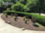 Before Plant and Mulch Installation