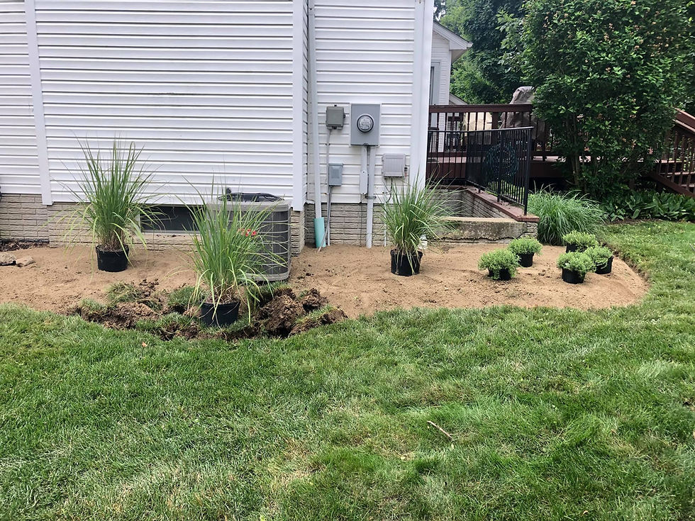 Before Plant Installation