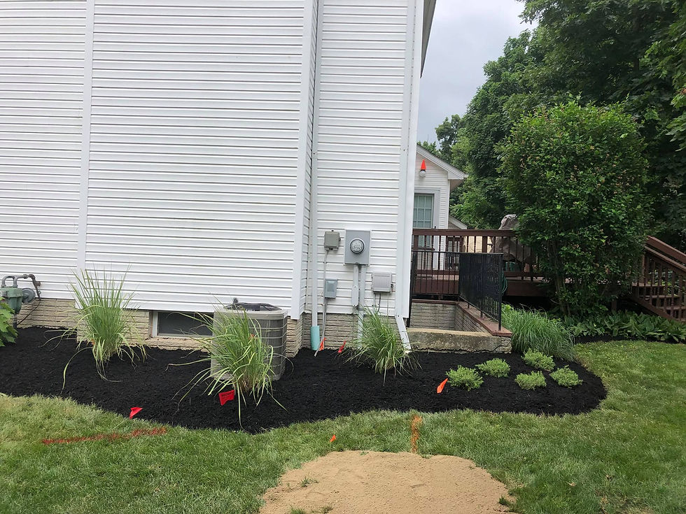 After Plant Installation