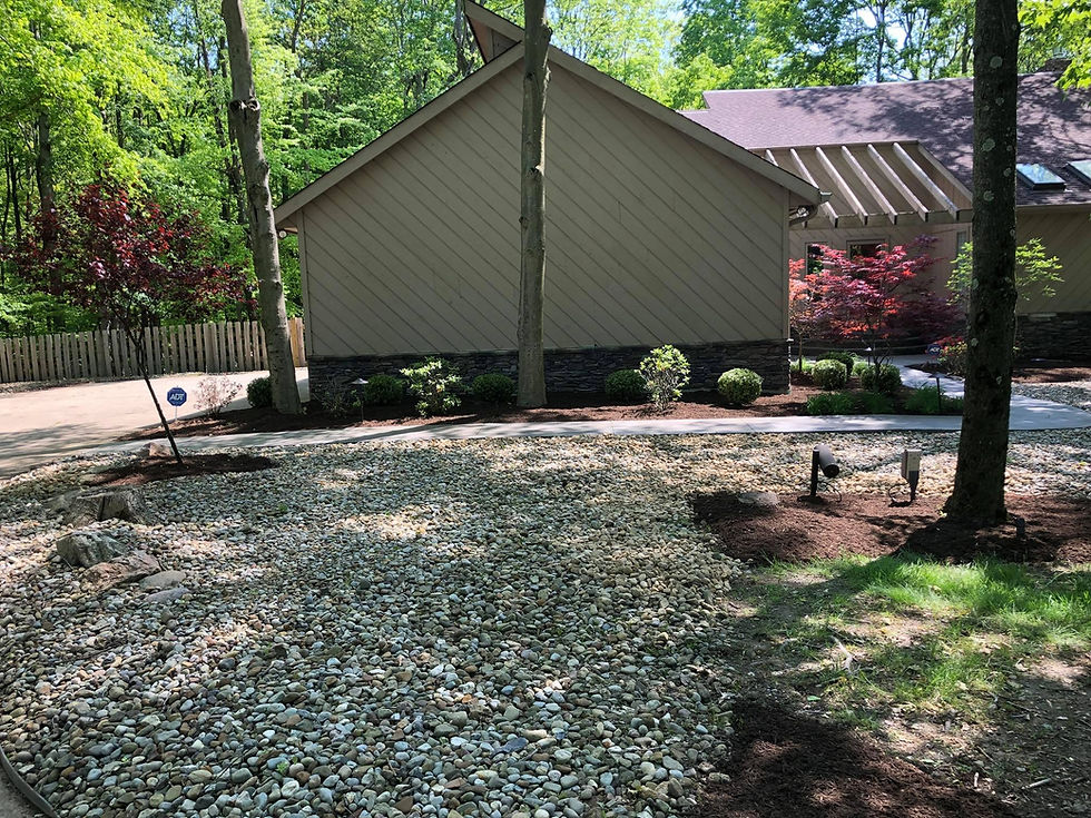 After Mulch