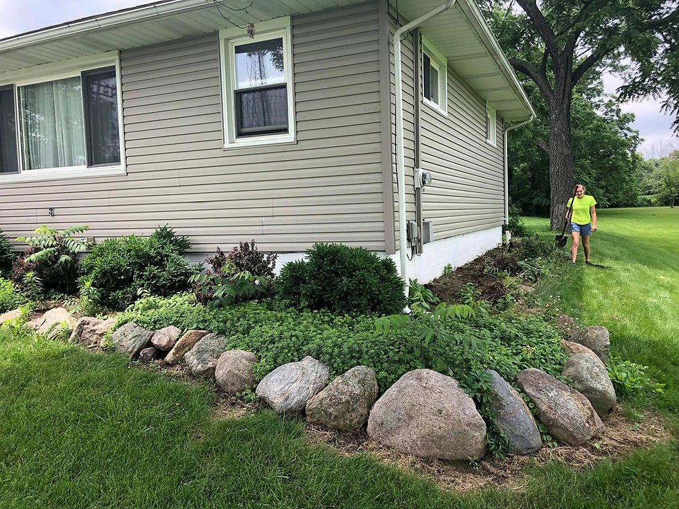Before Plant Installation