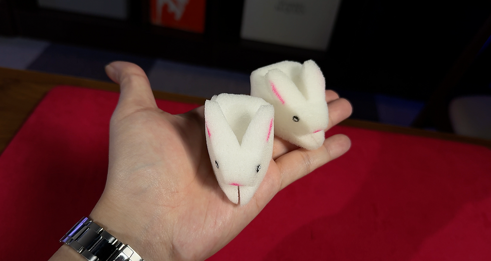 Thumbnail: My Little Sponge Rabbit by Alan Wong