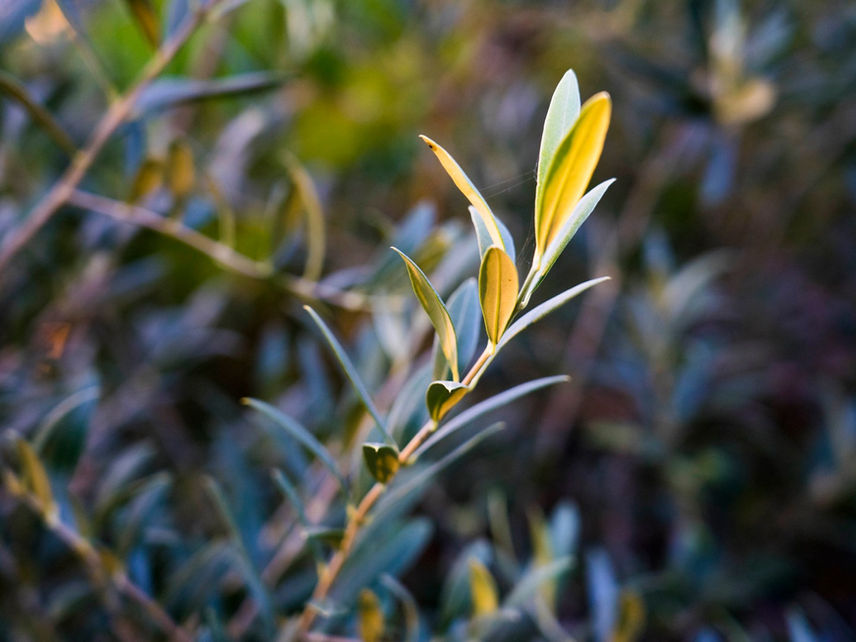 Graphiste photographe bordeaux free-lance eco-responsable paris logo charte graphique plaquette flyer site internet seance photo reportage portrait