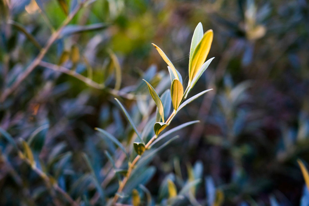 Graphiste photographe bordeaux free-lance eco-responsable paris logo charte graphique plaquette flyer site internet seance photo reportage portrait