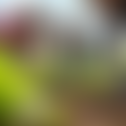 The Positive Impact of Charitable Giving on Society and Yourself