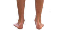 69766596_945161085832934_271076989736058