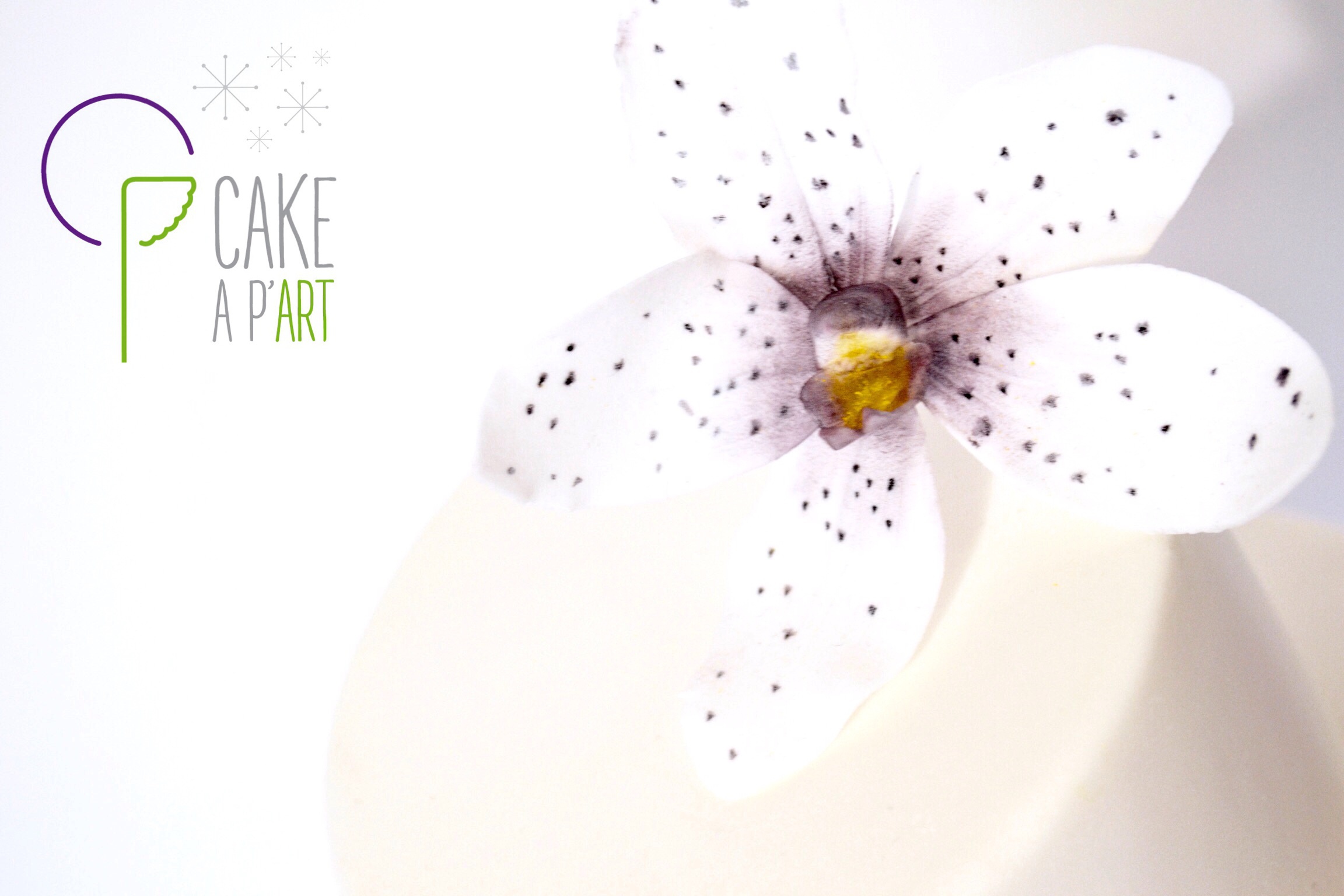 CAKE A P'ART | Galerie photos | Gateau
