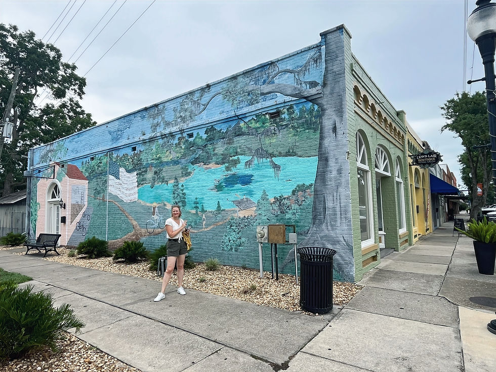 Charming murals of High Springs