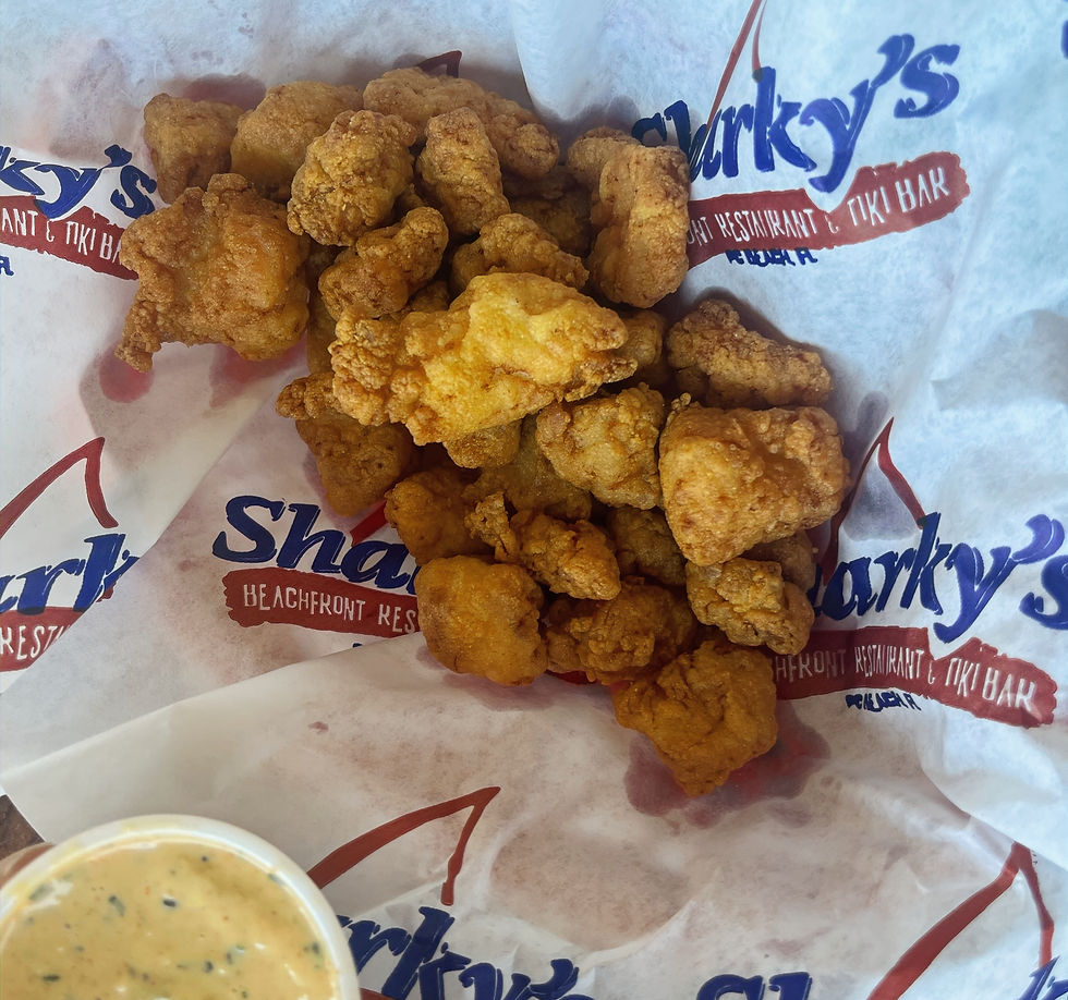 Alligator bites at Sharky's in Panama Beach