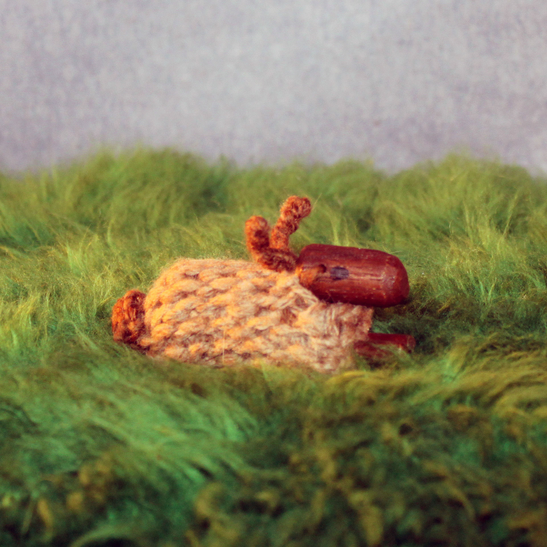 Rabbit Project Protector