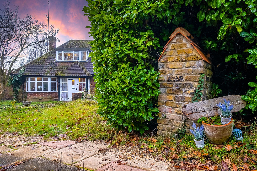 Pine Cottage Outside
