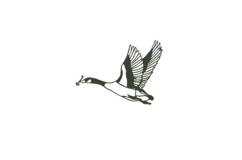 9-12 GOOSE FINAL LOGO-08 (1).png