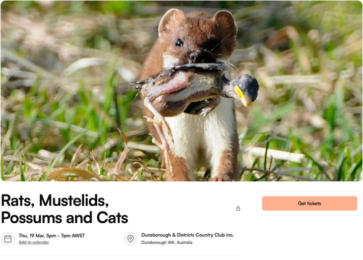 Screenshot 2026-02-11 at 5.47.45 pm.png