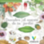 Diptico_JxB_1_Descubre el secreto de tu jardin.jpg