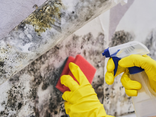 Mold Prevention