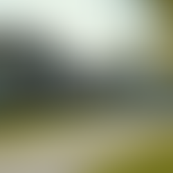 Finding Affordable Housing in Tennessee