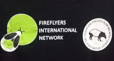 About us | Cherating Firefly Tours | Kampung Cherating