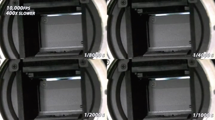 shutter 4in1.gif