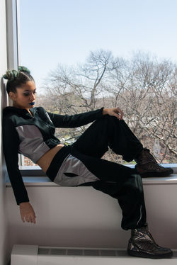 The New Workout Plan