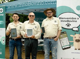 ¿Cómo surgió la idea de InnoBovino App?