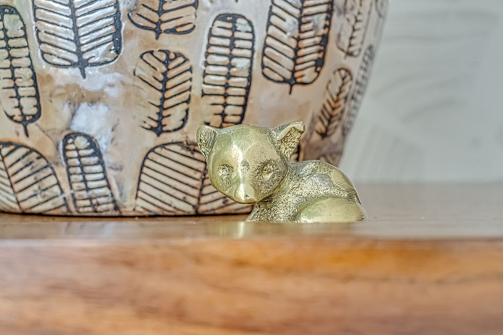Hendersonville Real Estate Photography 010
