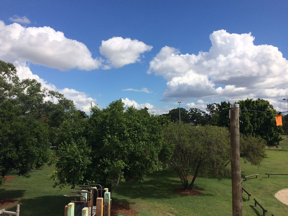 Park Views from level 1