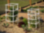CommGarden 27Jun2020 - 8
